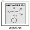 ������ ������� ����� ������ Phenylalanine, Phe
