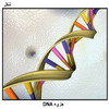  DNA