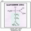 ������ ������� �������� Glutamine, Gln
