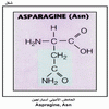������ ������� ��������� Aspragine, Asn