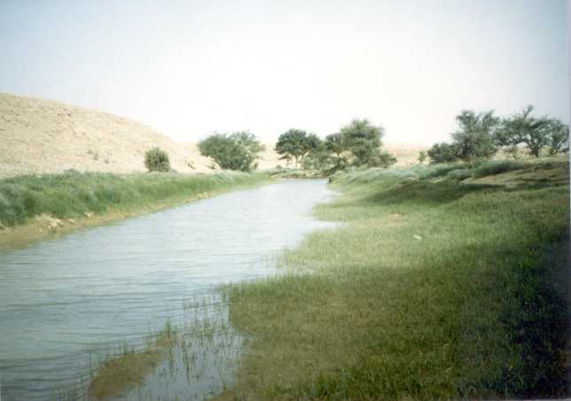 ����� ����� ��� ���� ��� �������